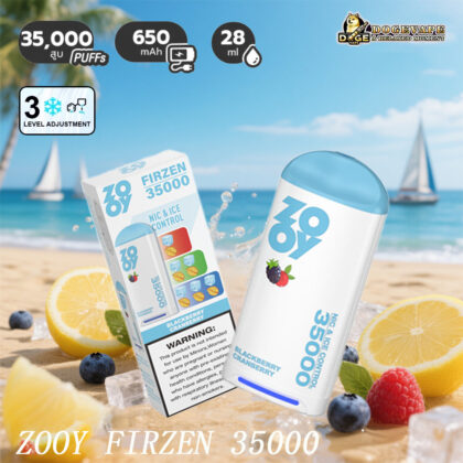 ZOOY FIRZEN 35000 - Disposable Electronic Cigarette with Adjustable Ice Level Control